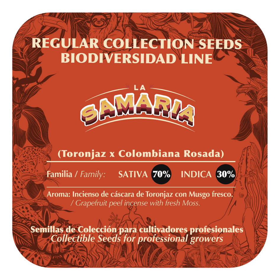 La Samaria - Black Tuna - Pack x 10