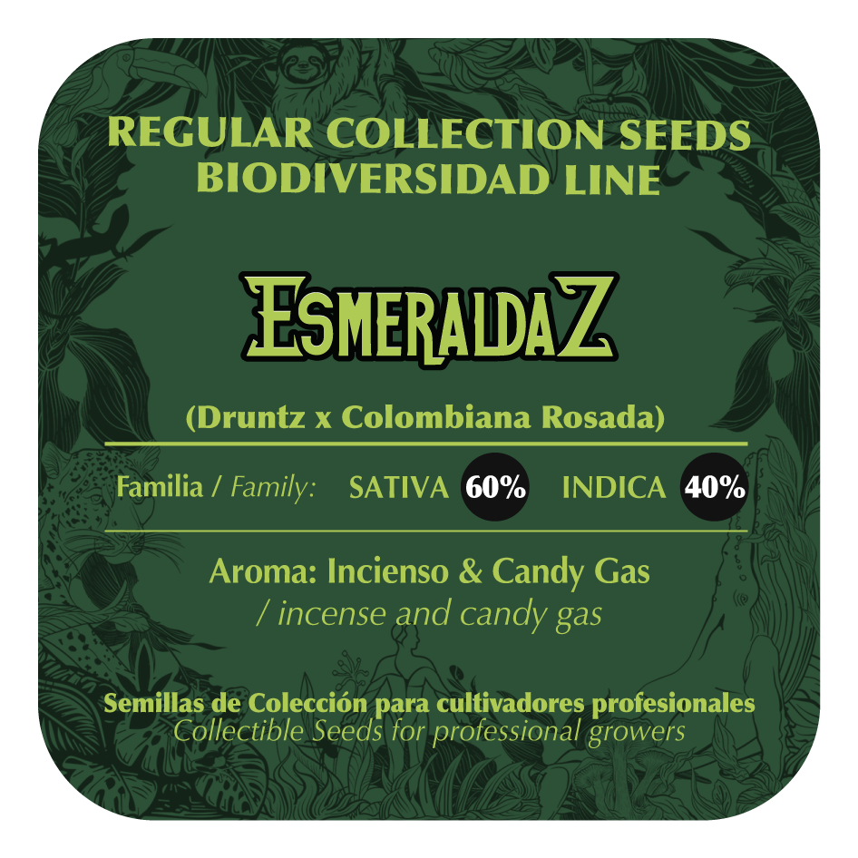 EsmeraldaZ - Black Tuna - Pack x 10