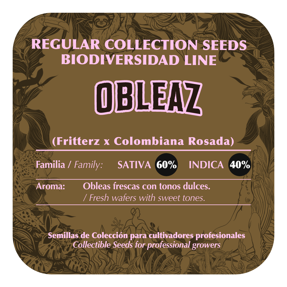 Obleaz - Black Tuna - Pack x 10