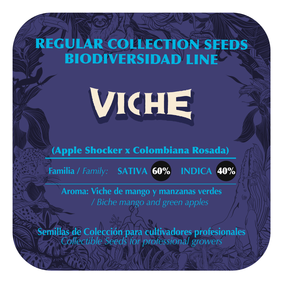 Viche - Black Tuna - Pack x 10