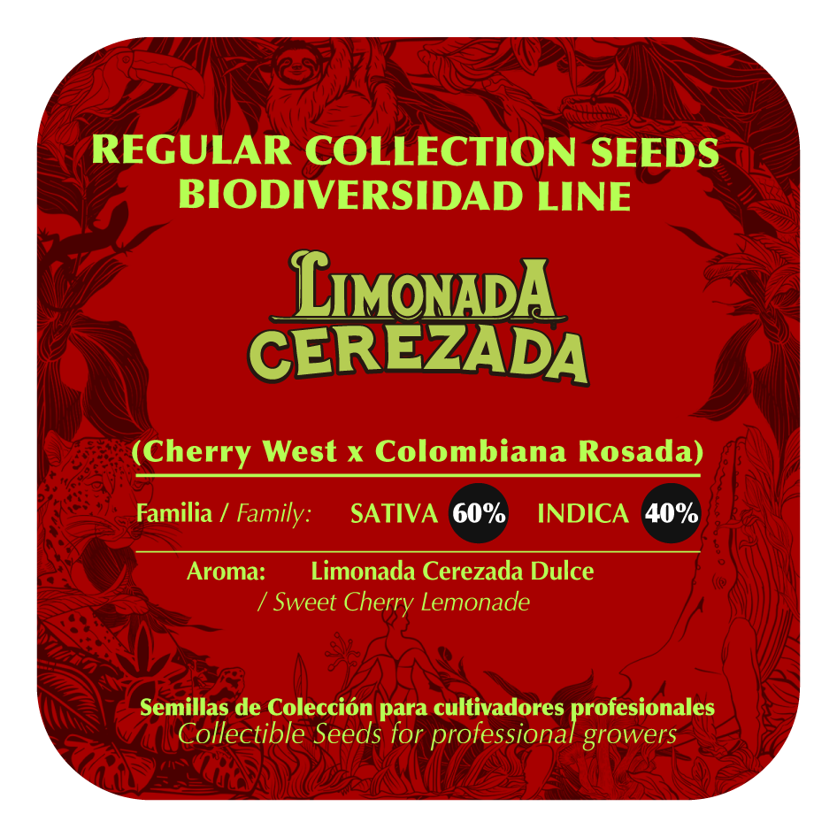 Limonada Cerezada - Black Tuna - Pack x 10
