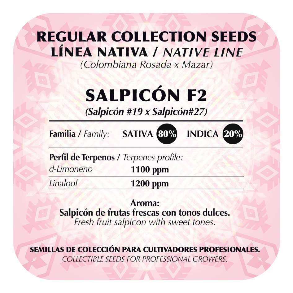 Salpicón F2 Regular - Black Tuna - Pack x 10