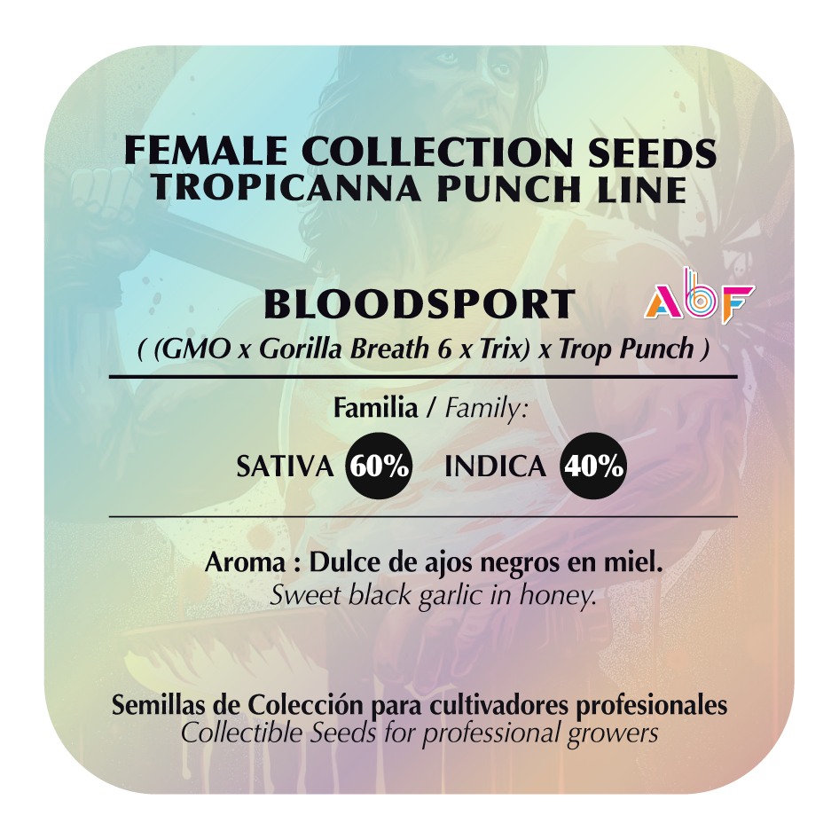 Bloodsport Feminizada - Black Tuna - Pack x 3