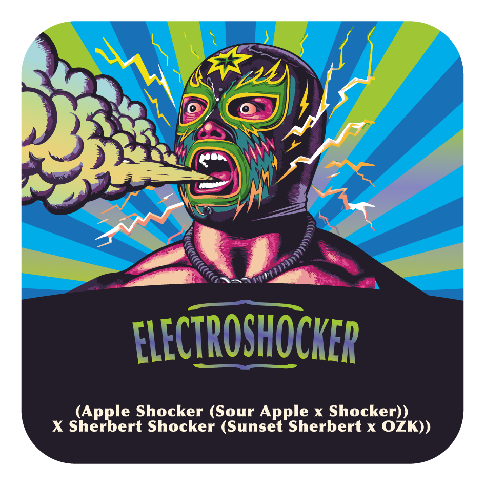Electroshocker - Black Tuna - Pack x 3