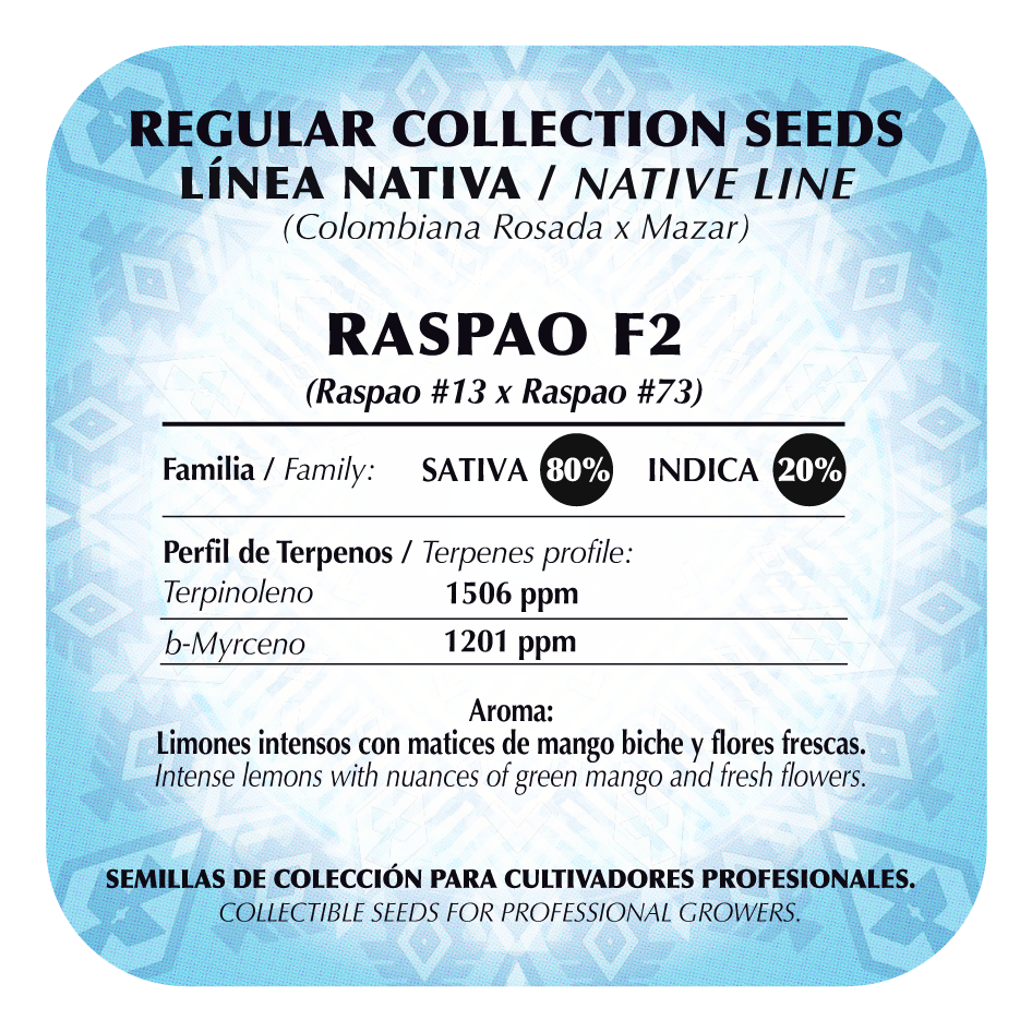 Raspao F2 Regular - Black Tuna - Pack x 10
