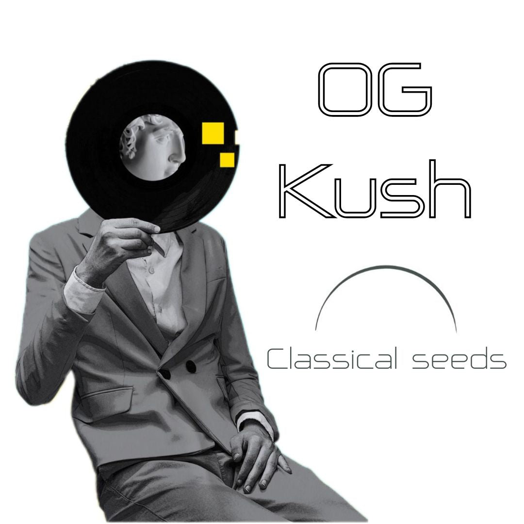OG Kush Classical seeds