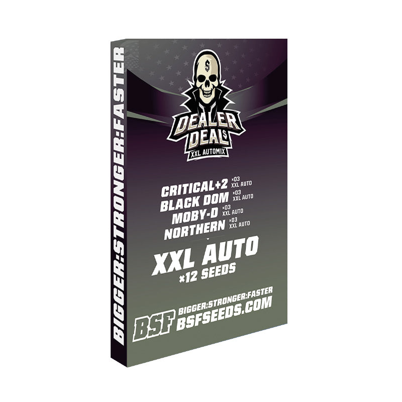 Dealer Deal XXL Automix - BSF Seeds