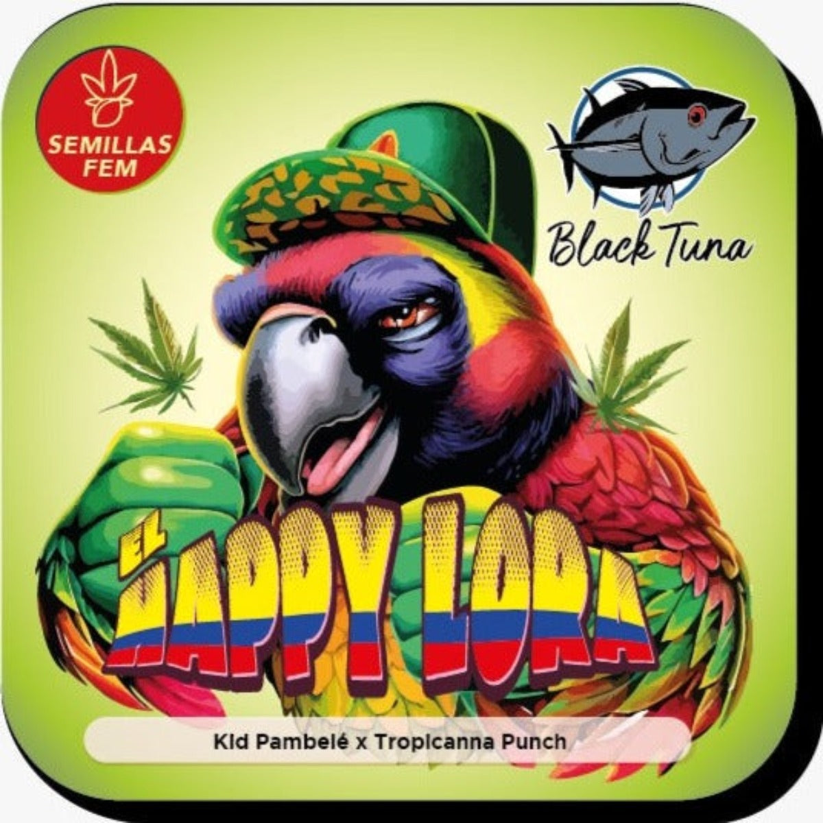 Happy Lora Feminizada - Black Tuna - Pack x 3