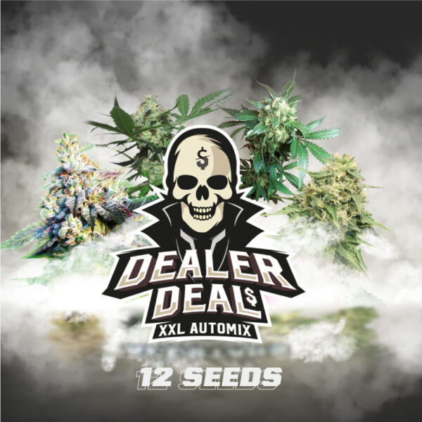 Dealer Deal XXL Automix - BSF Seeds