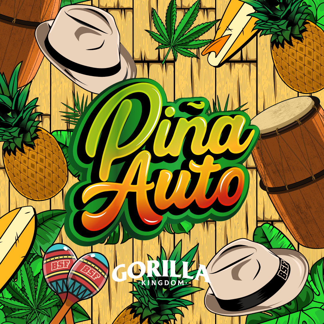 Gorilla Piña Autofloreciente - BSF Seeds