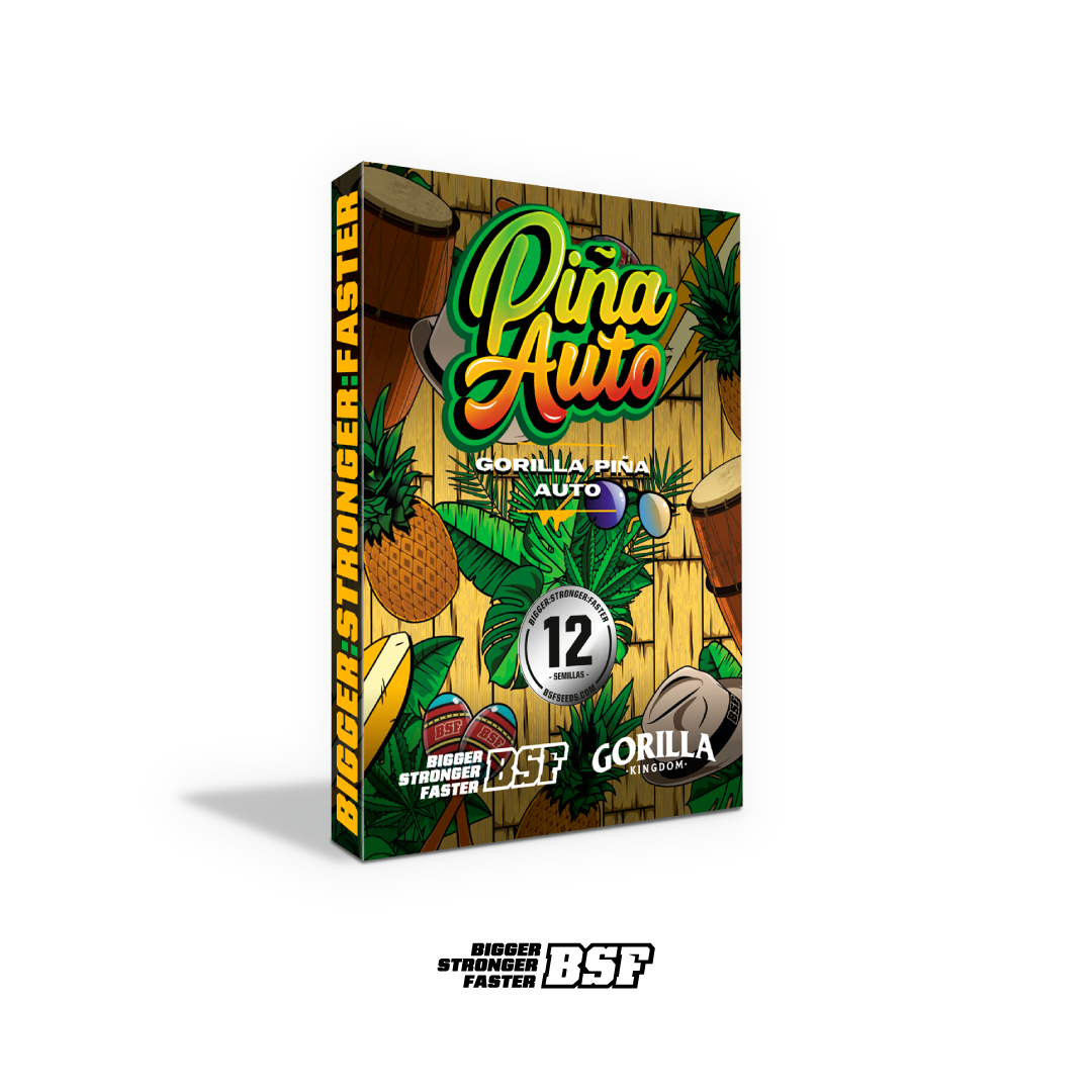 Gorilla Piña Autofloreciente - BSF Seeds
