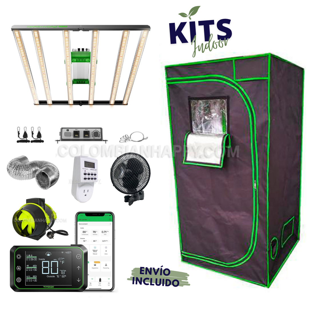 Kit Indoor Completo 2025 + Envío gratis