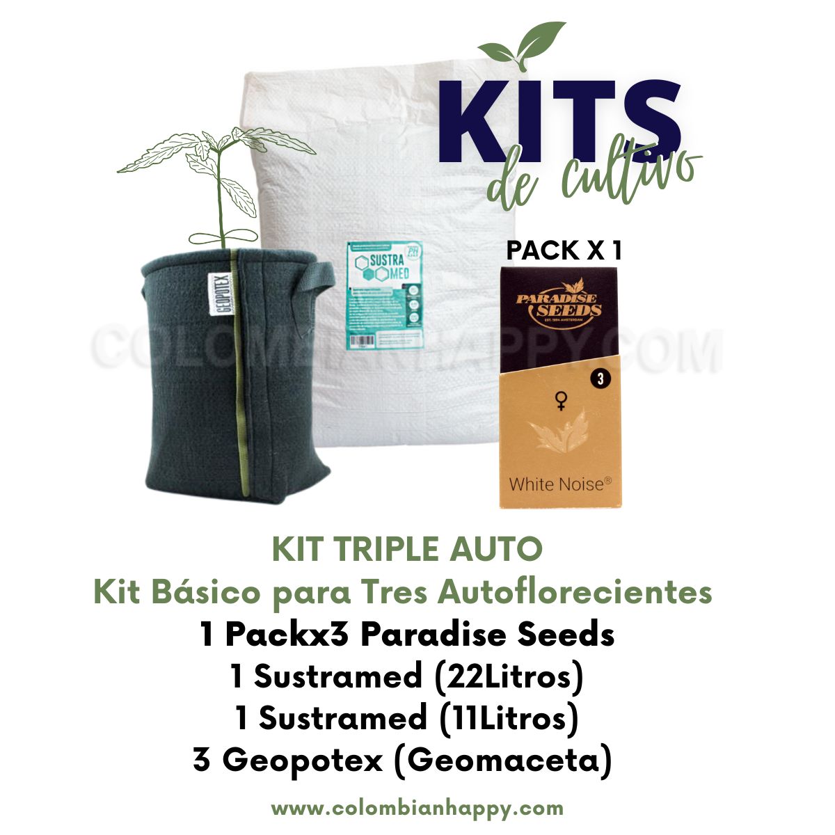 Kit Triple Auto con Paradise seeds pack x 3