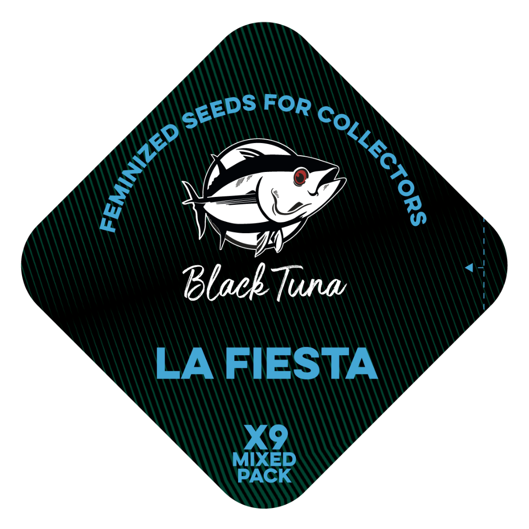 Popurrí: La fiesta - Black Tuna - Pack x 9