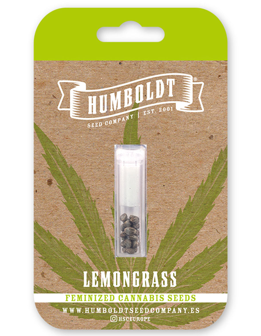 Lemongrass Feminizada - Humboldt Seed Company - Pack x 3