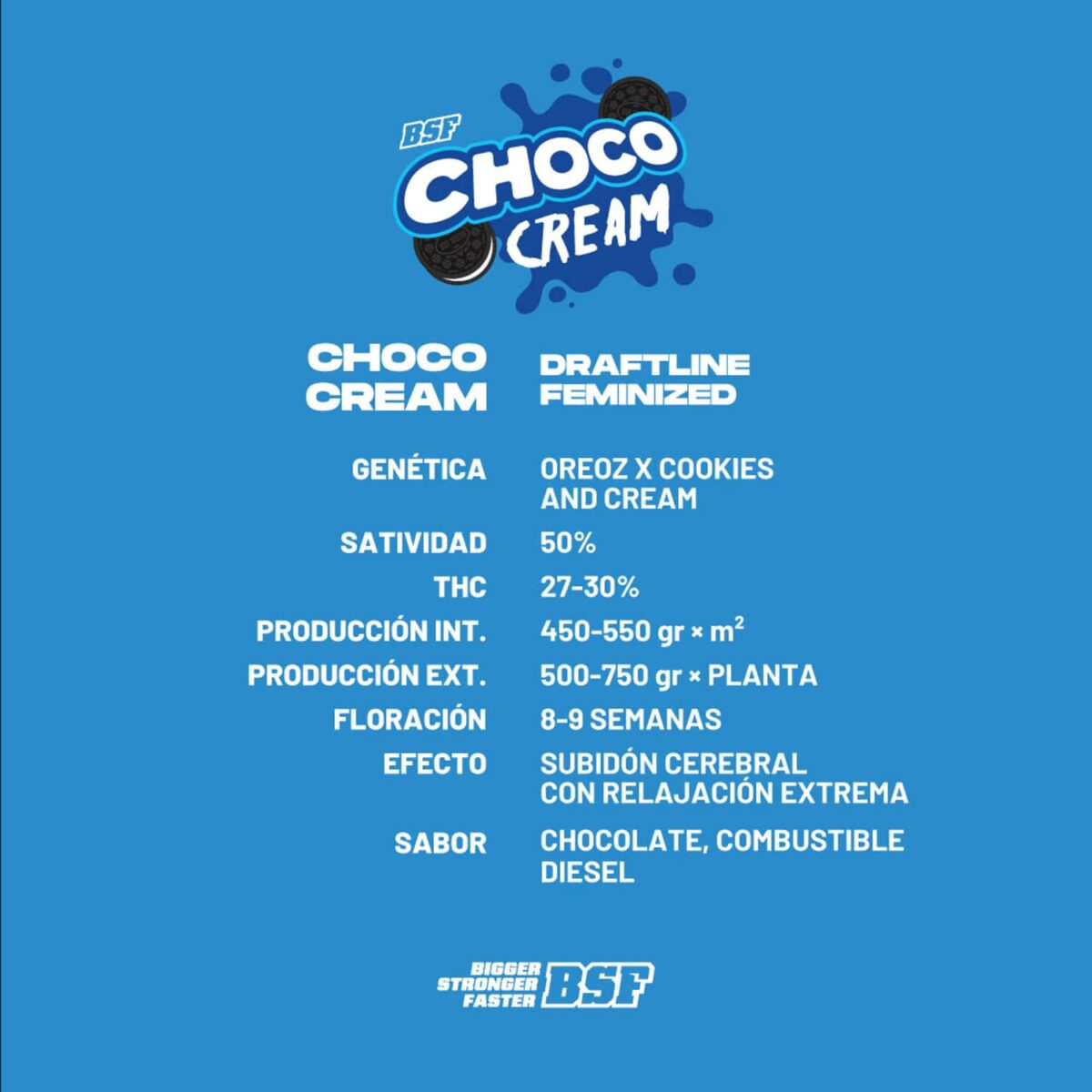 Choco Cream – BSF Seeds
