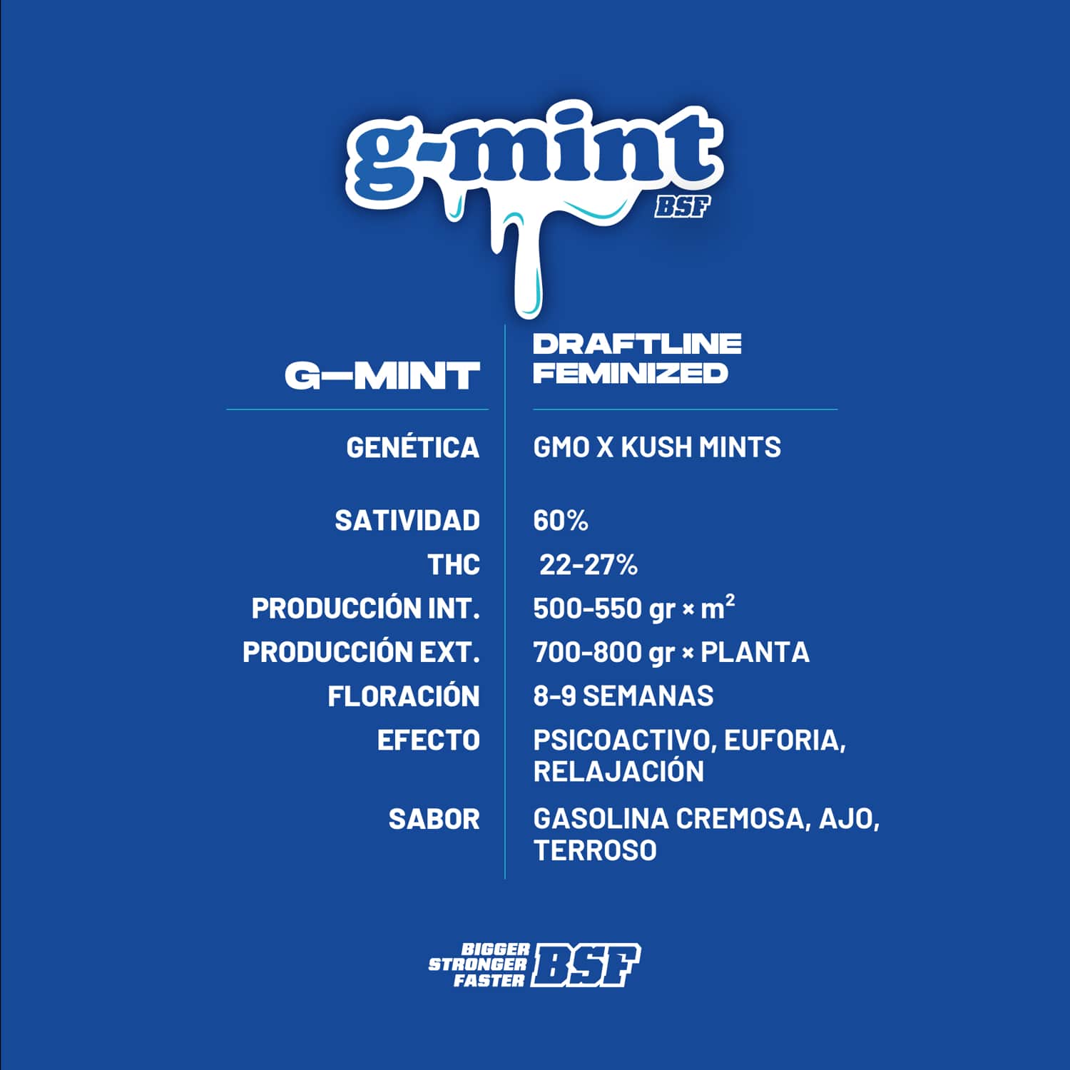 G-mint – BSF Seeds
