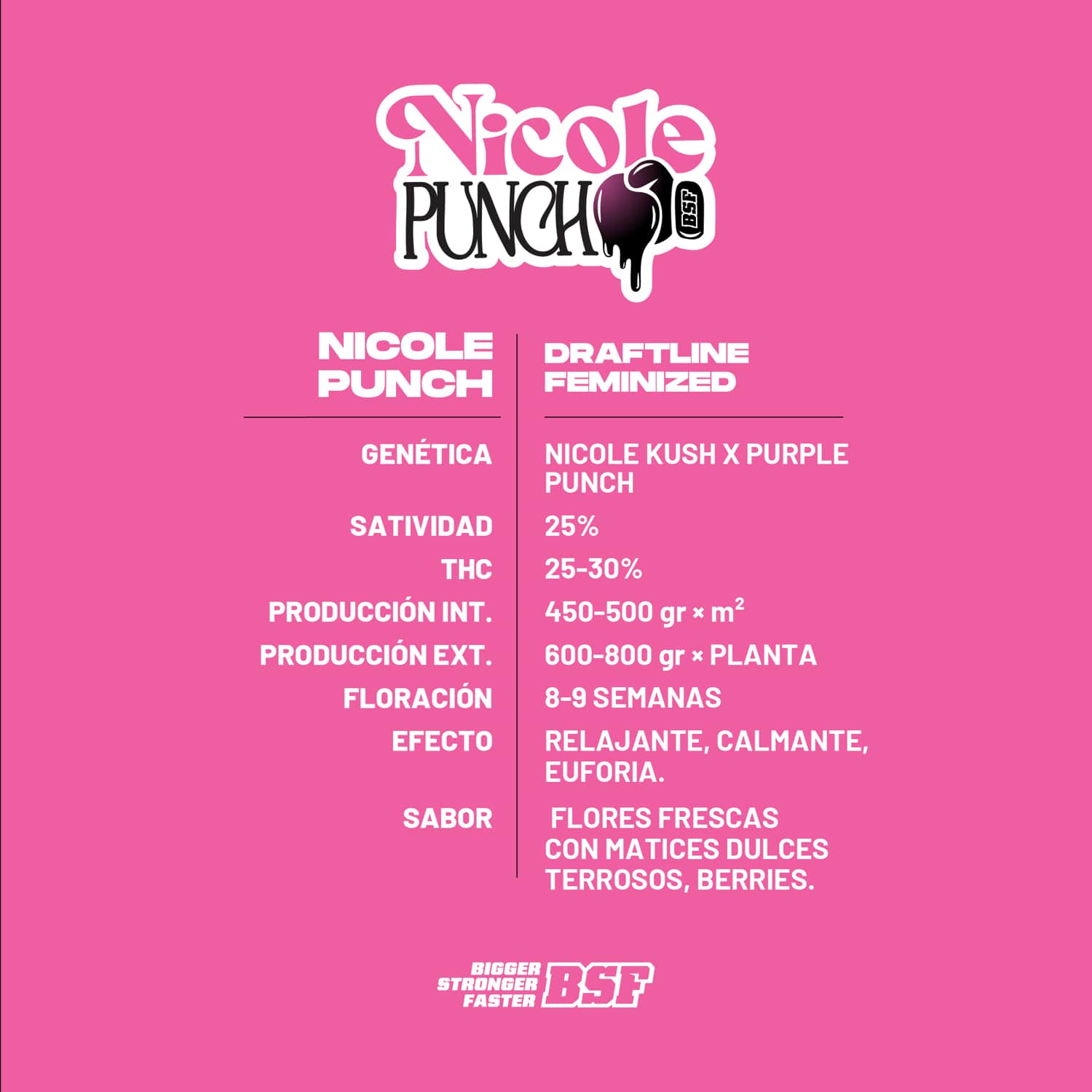 Nicole Punch Feminized – BSF Seeds