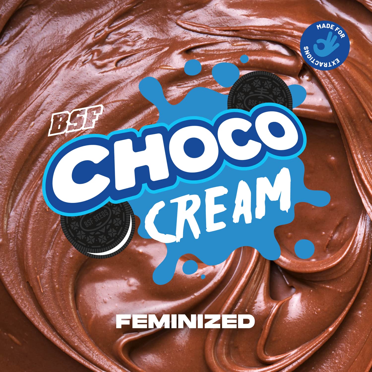Choco Cream – BSF Seeds