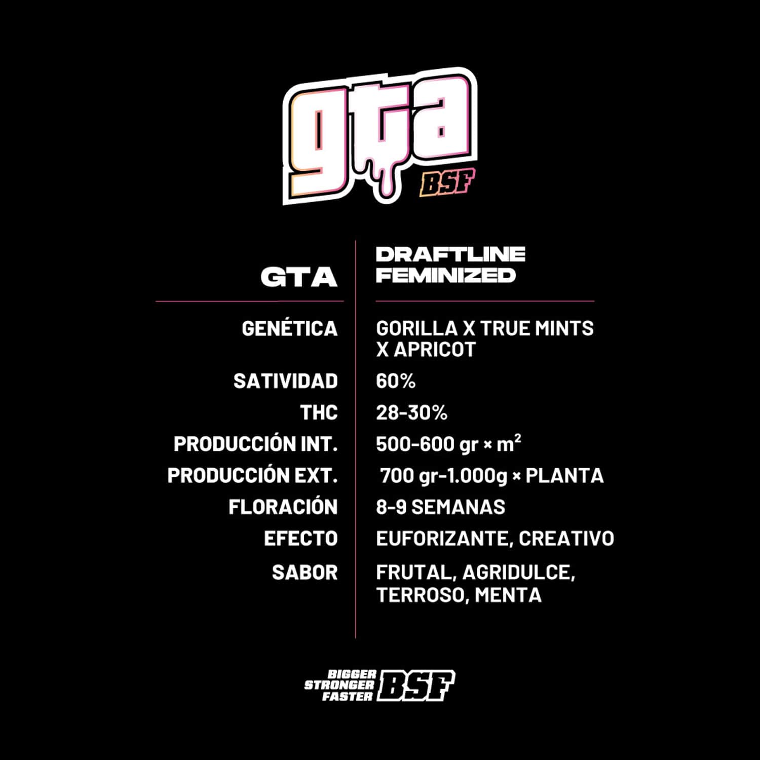 GTA Feminized – BSF Seeds