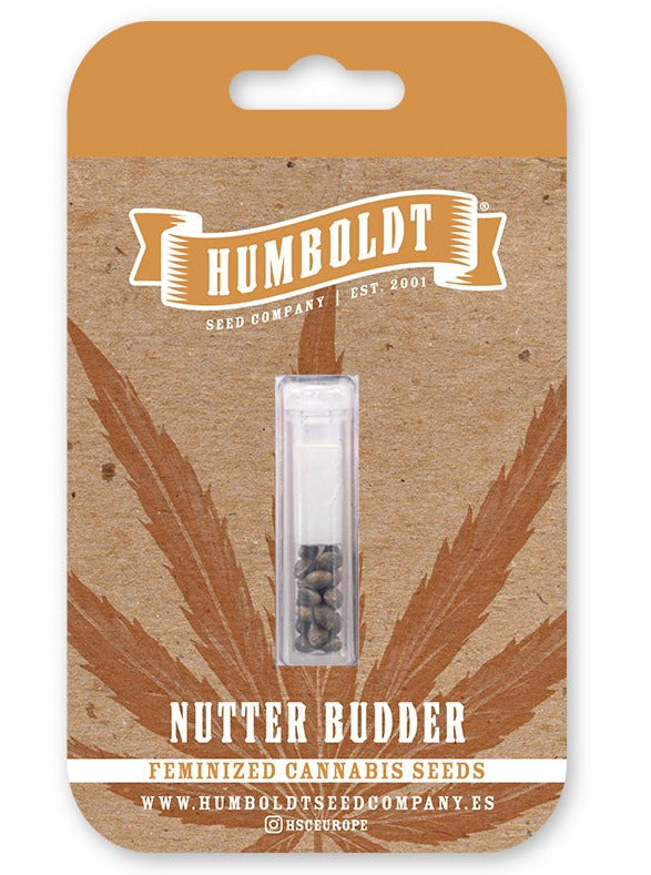 Nutter Budder Feminizada - Humboldt Seed Company - Pack x 3