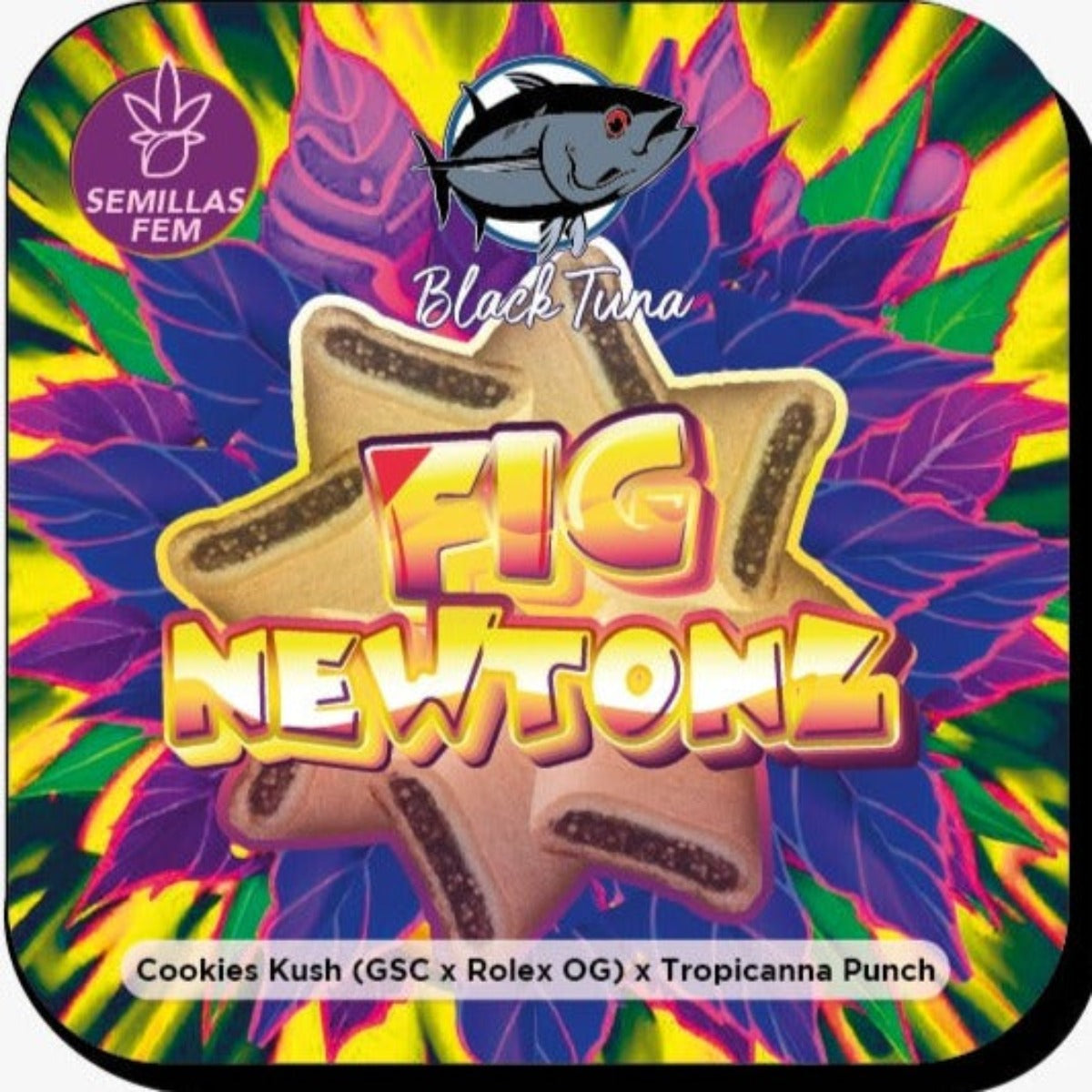 Fig Newtonz Feminizada - Black Tuna - Pack x 3