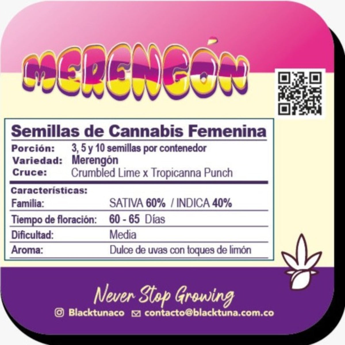 Merengón Feminizada - Black Tuna - Pack x 3