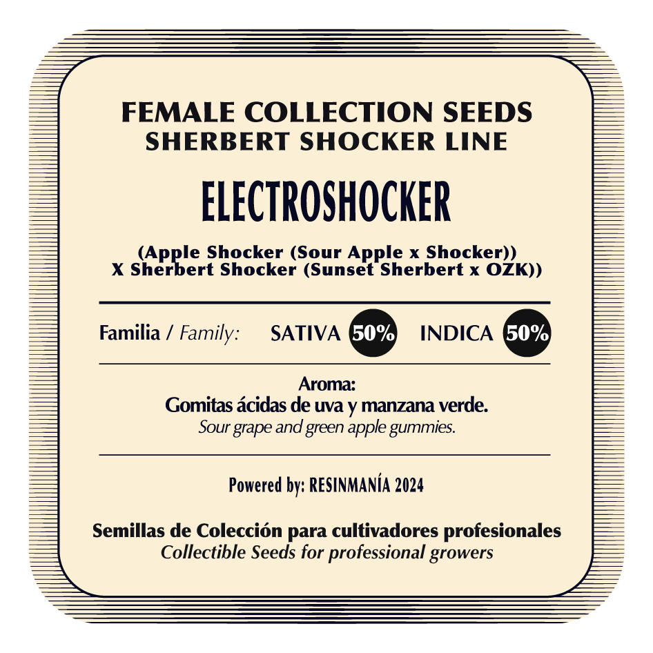 Electroshocker - Black Tuna - Pack x 3
