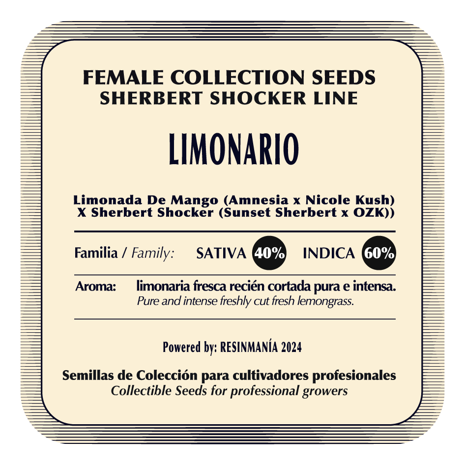 Limonario - Black Tuna - Pack x 3