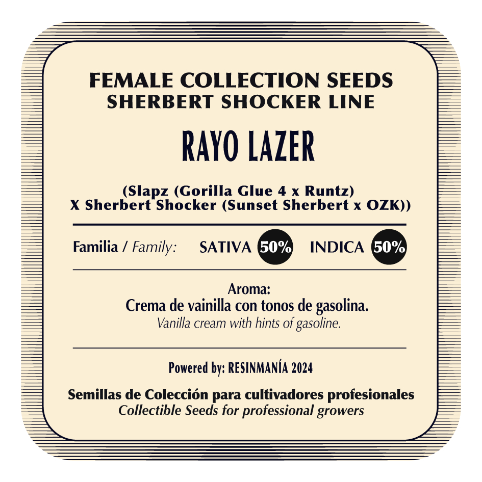 Rayo Lazer - Black Tuna - Pack x 3