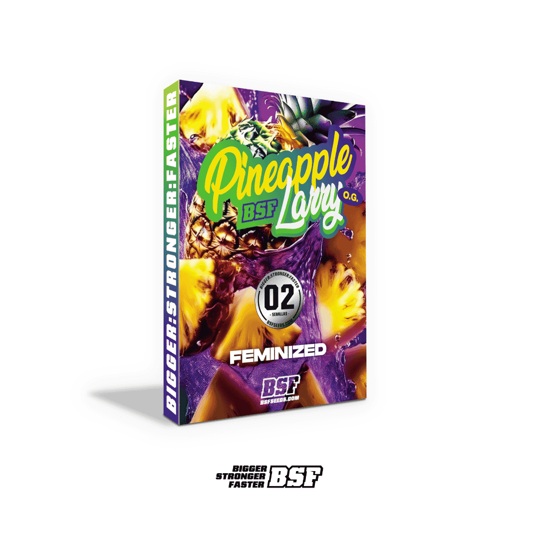 Pineapple Larry OG Feminizada BSF Seeds