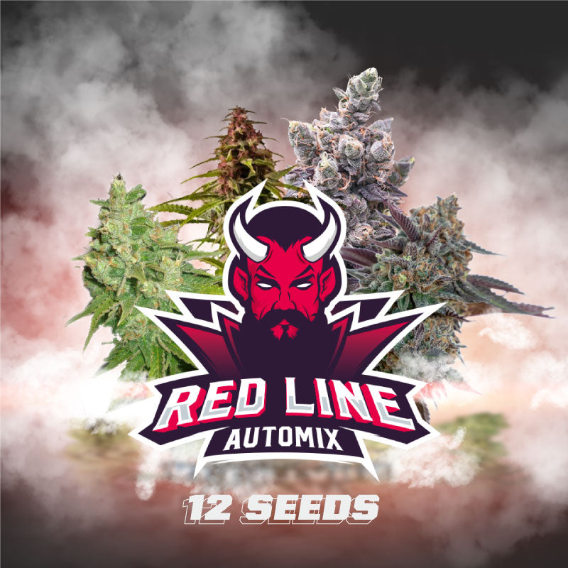 Red Line Automix - BSF Seeds