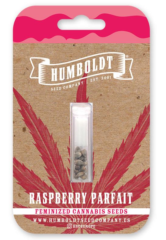 Raspberry Parfait Feminizada - Humboldt Seed Company - Pack x 3