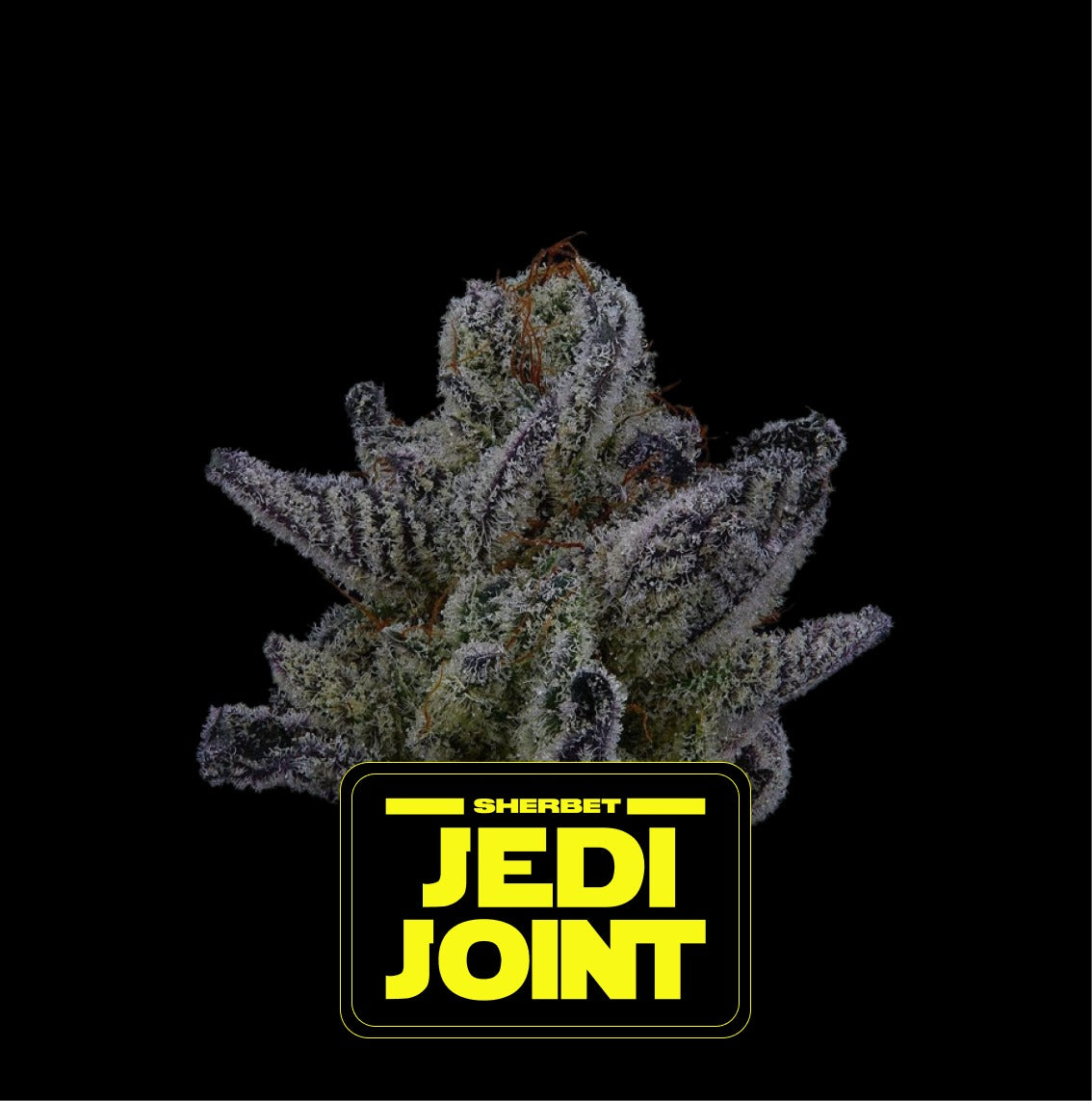 Sherbet Jedi Joint Feminizada - Highbreed - Pack x 2