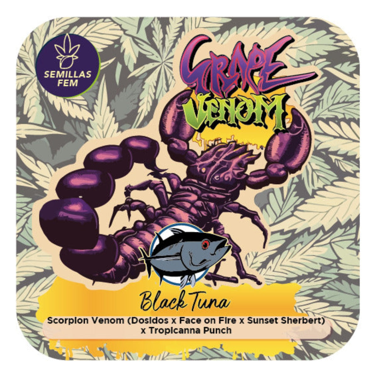 Grape Venom Feminizada - Black Tuna - Pack x 3