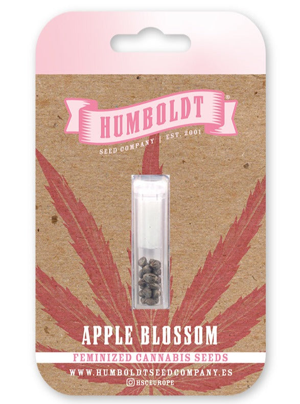Apple Blossom Feminizada - Humboldt Seed Company - Pack x 3