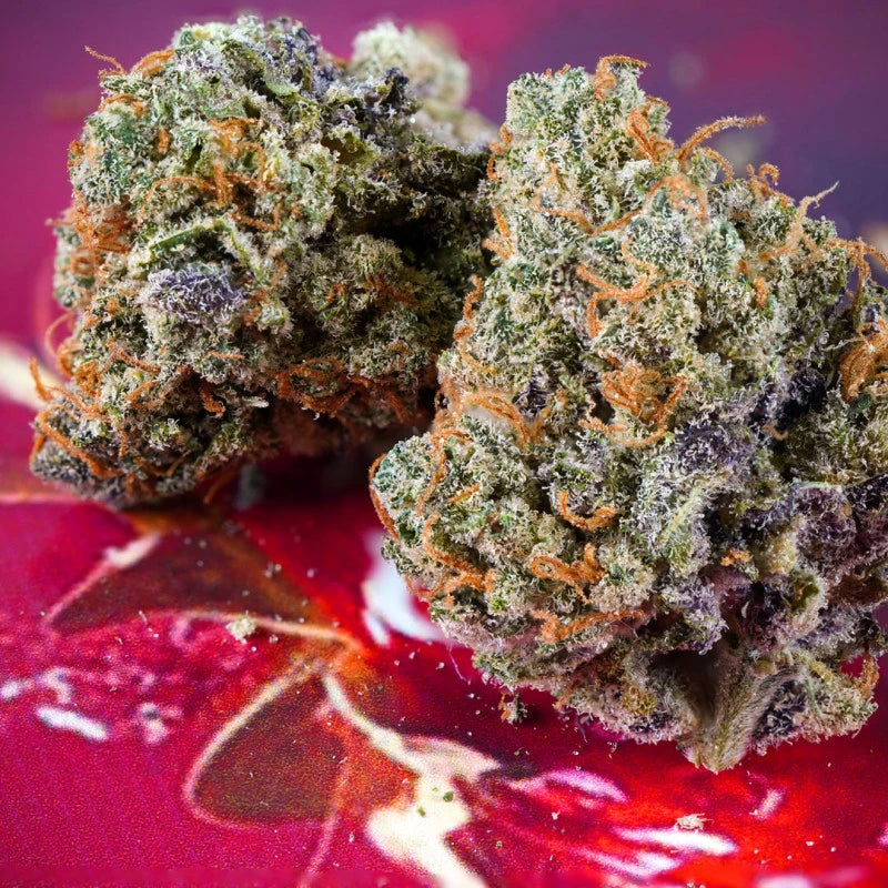 Auto Strawberry Soda Pack x3 - Dutch Passion