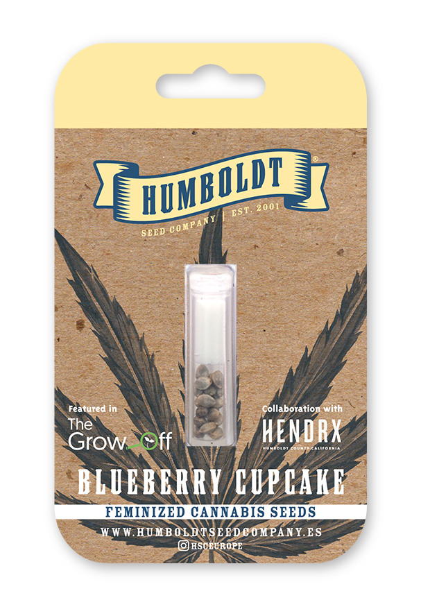 Blueberry Cupcake Feminizada - Humboldt Seed Company - Pack x 3