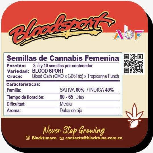 Bloodsport Feminizada - Black Tuna - Pack x 3