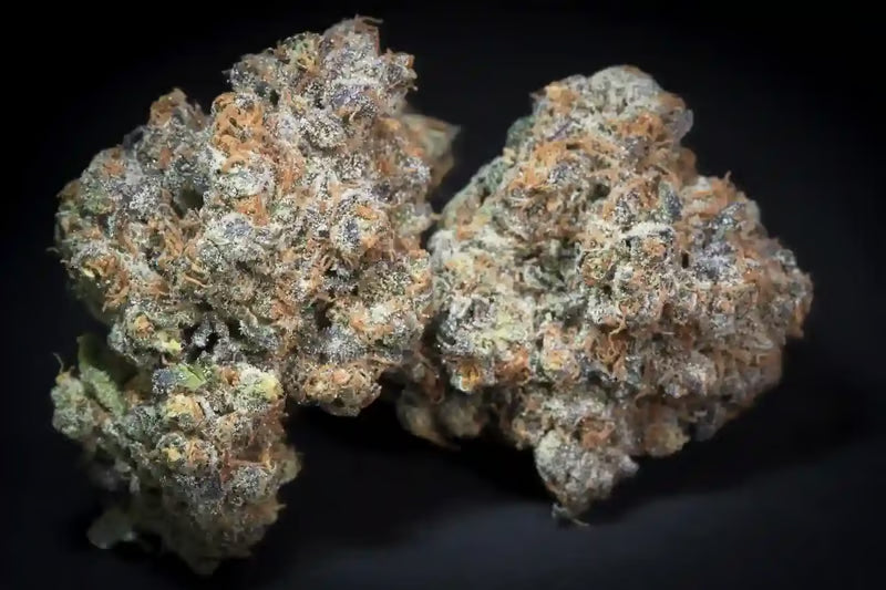 Caramba - Paradise Seeds Pack x 3