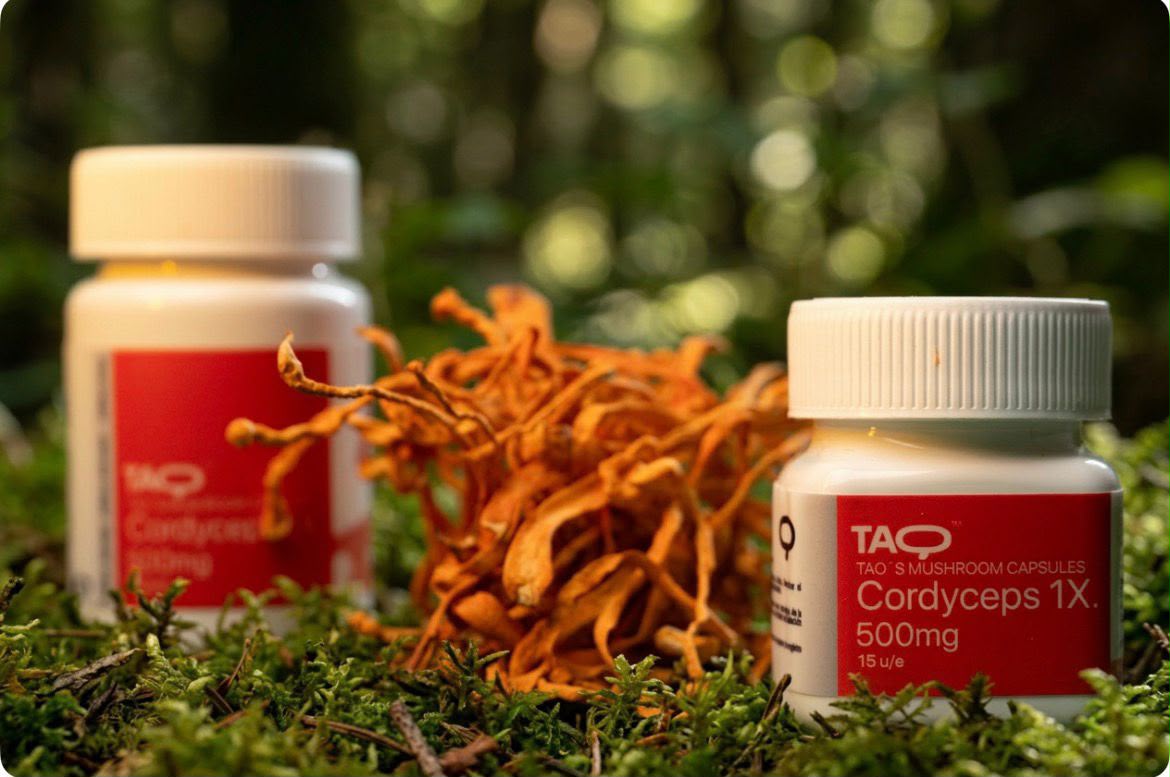 Cordyceps TAO
