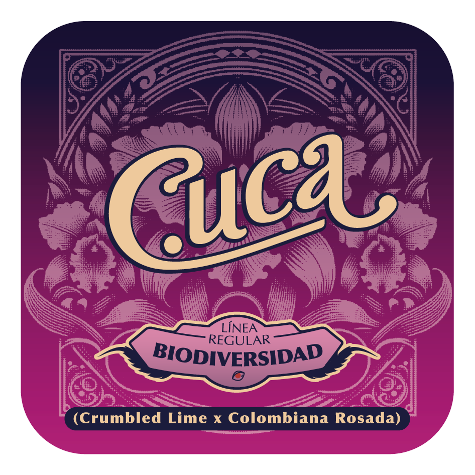 Cuca - Black Tuna - Pack x 10