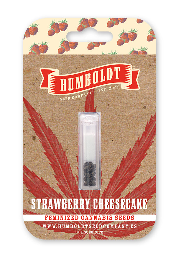 Strawberry Cheesecake Feminizada - Humboldt Seed Company - Pack x 3