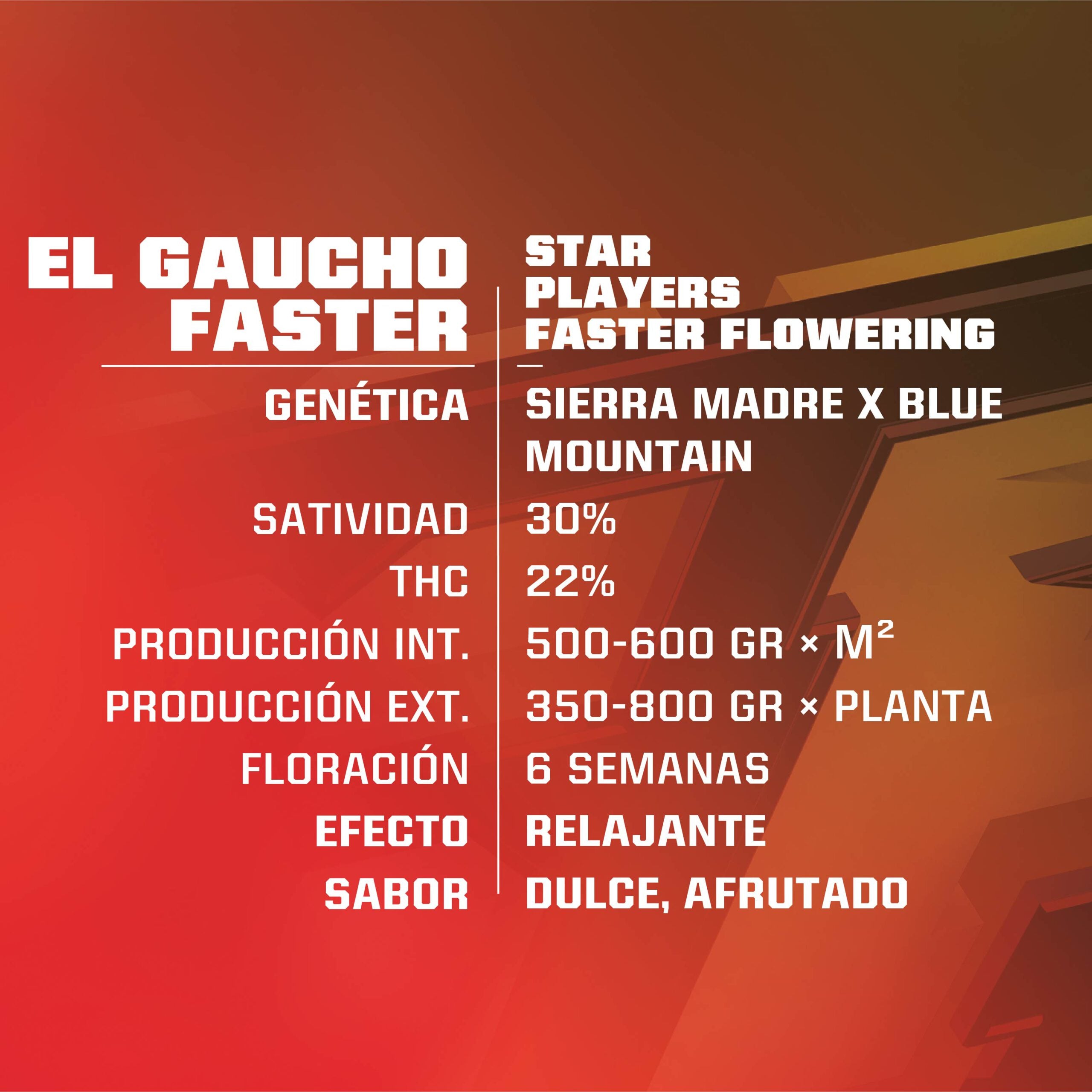 El Gaucho Faster Flowering fem BSF Seeds