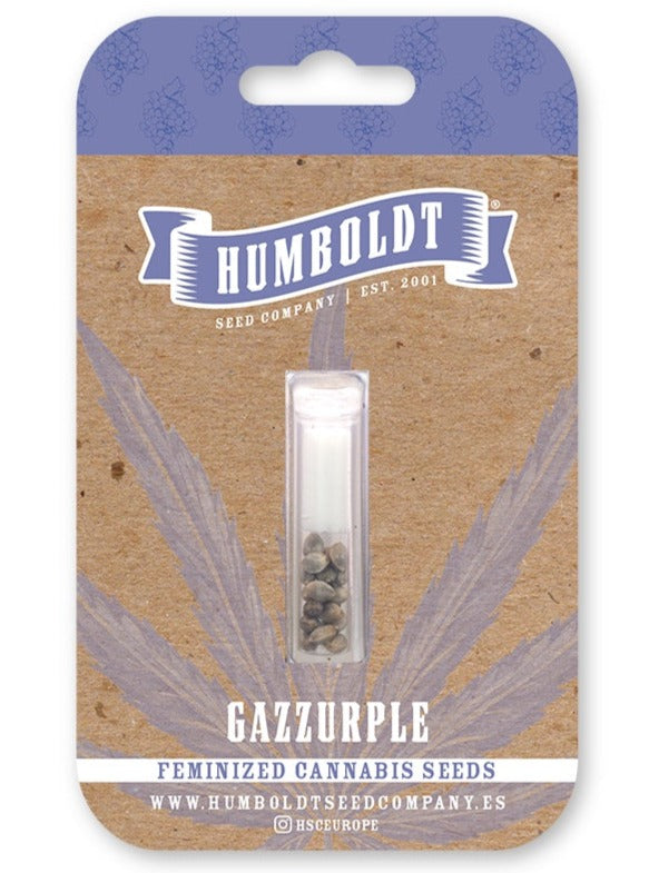 Gazzurple Feminizada - Humboldt Seed Company - Pack x 3