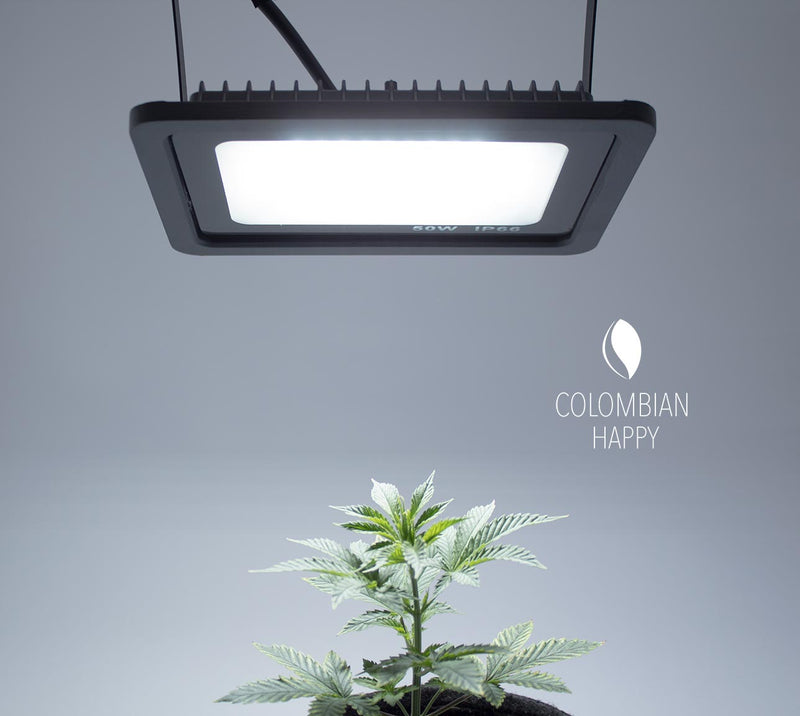 Kit Reflector LED 50W Tableta con filtro para Crecimiento-Floración con conexión