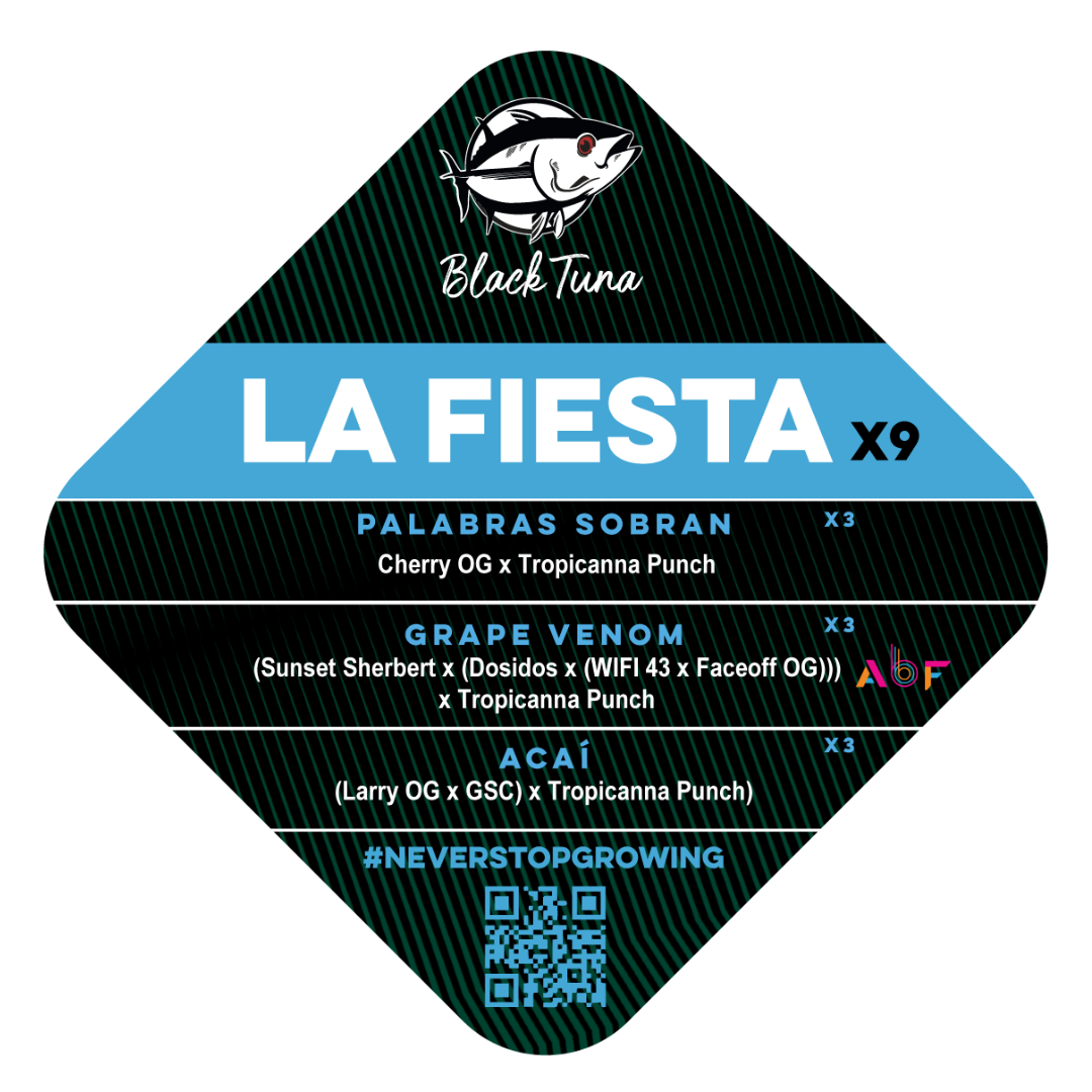 Popurrí: La fiesta - Black Tuna - Pack x 9