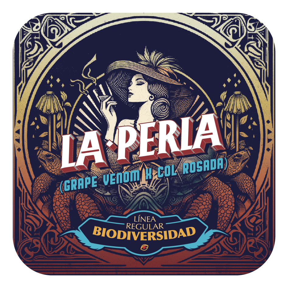 La Perla - Black Tuna - Pack x 10