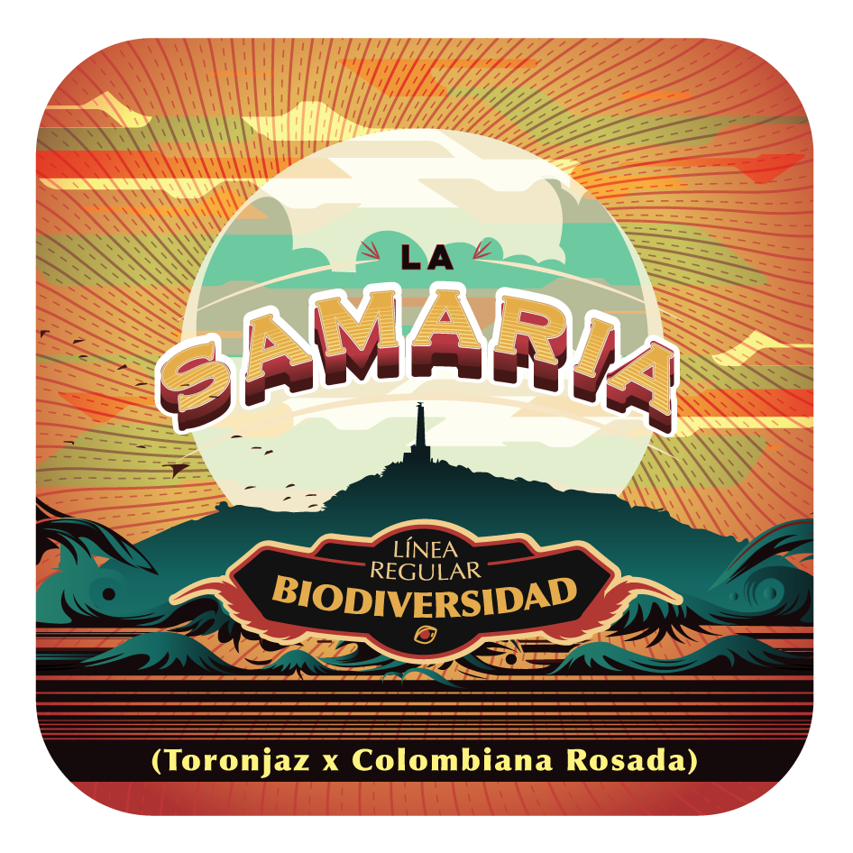 La Samaria - Black Tuna - Pack x 10