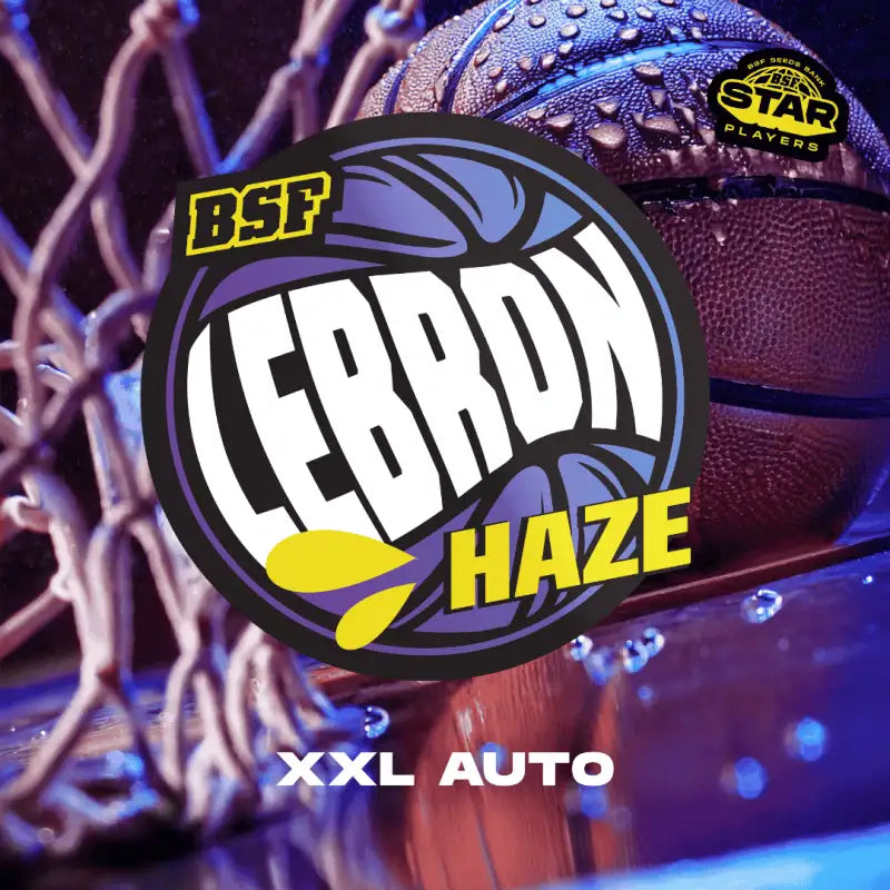 Lebron Haze XXL Auto - BSF Seeds